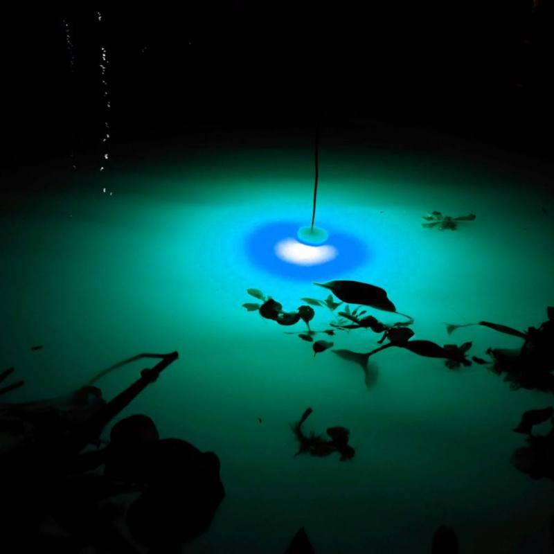 Mini Fishing Attraction Lamp G - Fishing Boat Navigation Light recensione e prezzo
