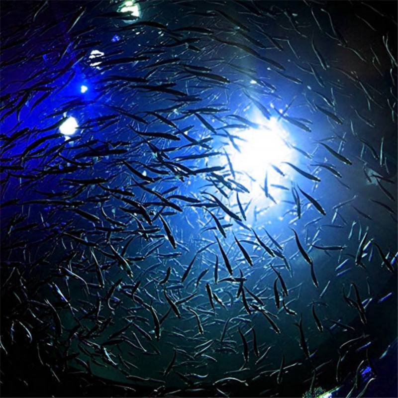 Mini Fishing Attraction Lamp G - Fishing Boat Navigation Light recensione e prezzo