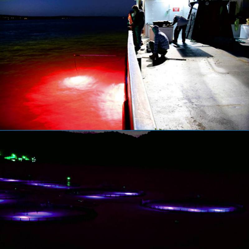 Mini Fishing Attraction Lamp G - Fishing Boat Navigation Light recensione e prezzo