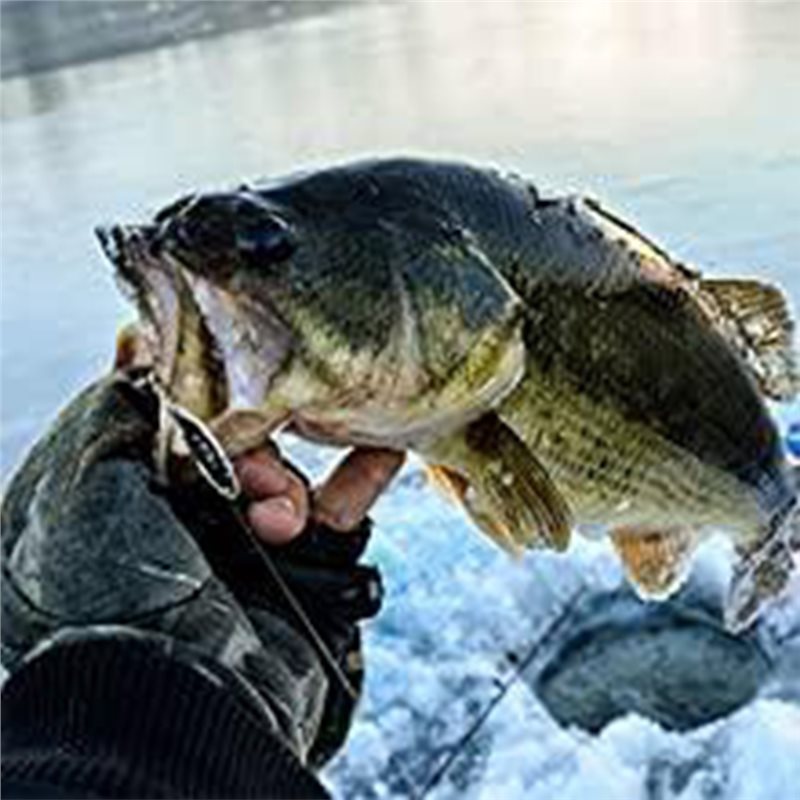 ABUE-Kayak Portable Fish Depth - Fishing Boat Depth Finder recensione e prezzo