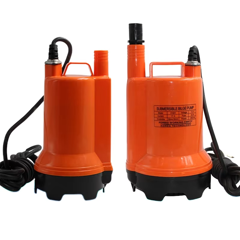 Marine Bilge Pump 12V/24V DC S - Fishing Boat Bilge Pump recensione e prezzo