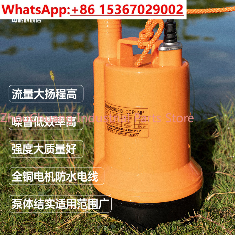 Marine bilge pump 12V24v DC su - Fishing Boat Bilge Pump recensione e prezzo